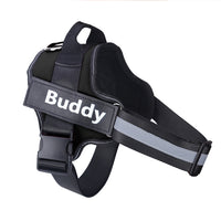 Custom Fit Dog Harness with Reflective Safety Straps