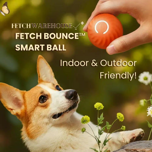 Fetch Bounce™ Smart Ball